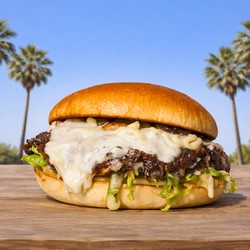 Restaurant de burgers, Plan-de-Cuques, YT BURGERS