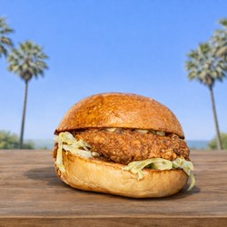 Restaurant de burgers, Plan-de-Cuques, YT BURGERS